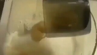 寻衅滋事是吧