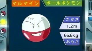 オーキド博士のポケモン講座(マルマイン)