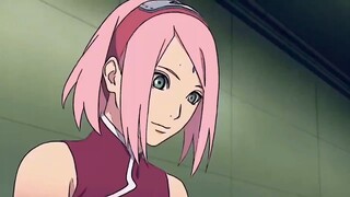 Sakura say no