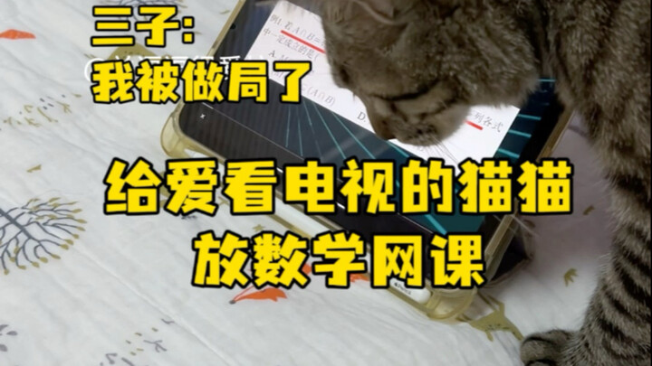 دروس رياضيات عبر الإنترنت لقطط عاشقة لمشاهدة التلفاز