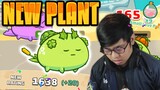 MY NEW SUPPORT TANK PLANT | Axie Infinity #8