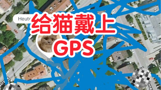 Put a tracker on your cat and see its daily route map...