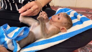 Adorable Liheang Sleep For Mom Dry Water Apply Baby Powder & Wearing Diaper