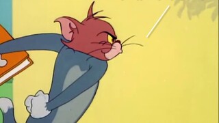 reality! Use cat and mouse to restore you before, during and after the exam