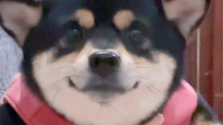 هادئ ورقيق مع هزّة بطيئة