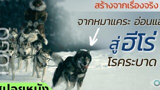 สปอยหนัง จากน้องหมาตัวเล็ก สู่ฮีโร่โรคระบาด (สร้างจากเรื่องจริง)