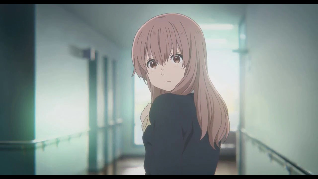 A SILENT VOICE - KOE NO KATACHI 「 AMV 」 Lily | Alan Walker - Bilibili A SILENT VOICE - KOE NO KATACHI 「 AMV 」 Lily | Alan Walker - Bilibili