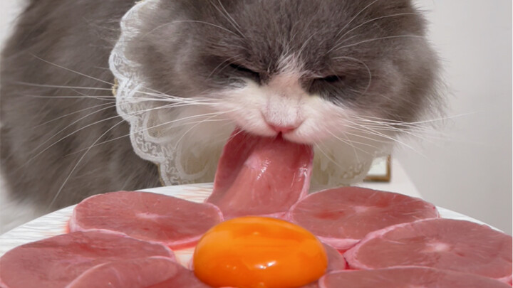 补水猪蛋切的太厚了