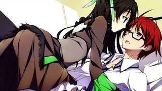 Top 10 Phim Anime có Nam Chính Mạnh Mẽ Vô Tình Khiến Mọi Cô Gái Xung Quanh Yêu Cậu Ta
