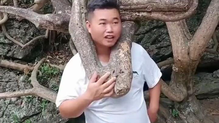 Pemuda ini menyelipkan kepala ke dalam ranting pohon untuk bergaya keren, tapi malah terjebak! Kini 