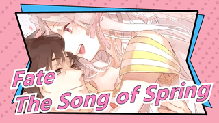 [Fate Stay Night] Ⅲ The Song of Spring / Theme Song Aimer