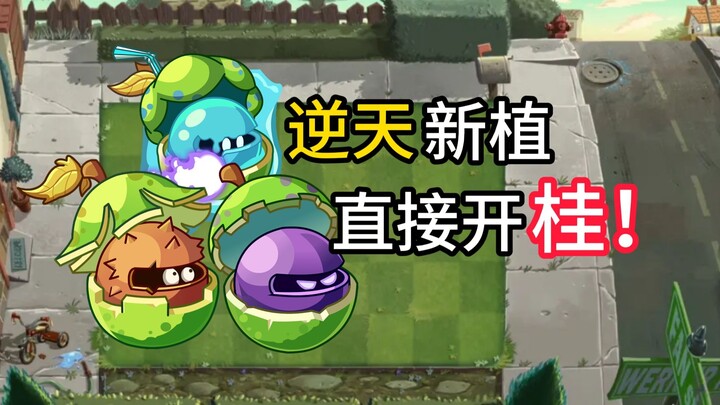 รีวิวพืชใหม่: ครูฝึกบอลผลไม้! พืชสุดปังที่มาแรงที่สุดแห่งปีปรากฏตัวแล้ว!