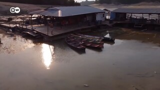 Sequia extrema en el amazonas provoca estragos a todo ser vivo que habite en el rio.