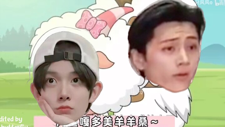 【Enhypen】五代第一美沸我们恩嗨盆要了！阿里嘎多美羊羊桑