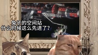 兔子：感谢鹰酱送的创意，包实现的。