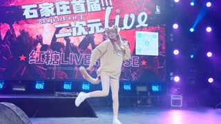 石家庄首届动漫livehouse 随心所欲mercy  真的对我不感兴趣吗