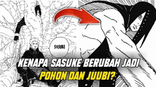 ALASAN SASUKE BISA BERUBAH JADI POHON DAN JUUBI?