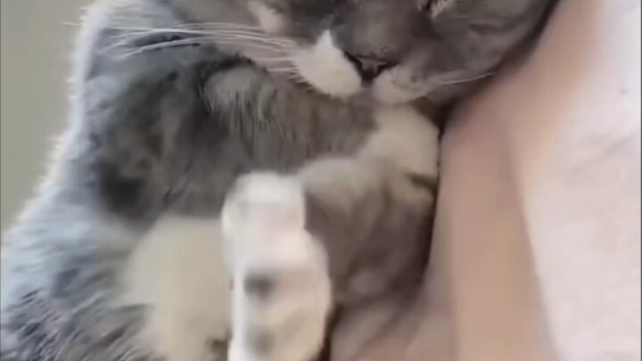 Hurry up and pull the little blanket over yourself!