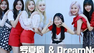 【Kidsplanet罗夏恩】DreamNote - Sự hợp tác của Hakuna matata BÌA