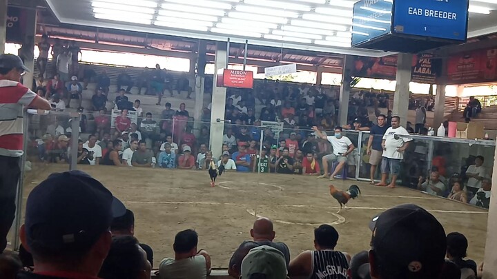 12/28/25 2nd fight L TCA- Ternate