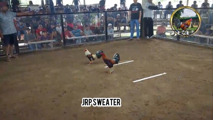 3 hits champion! AEJ GF line x JM Fantastic line JRP Sweater and JRP Dome!