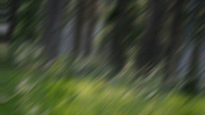 Backs Minh bell!!!!!