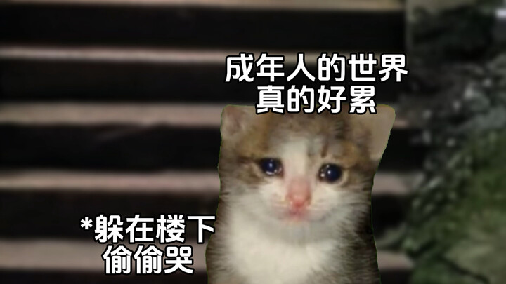 Tình yêu sẽ lớn lên trong im lặng #Câu chuyện bắt nguồn từ mạng #Nhà hát meme về mèo #Tái hiện chân 