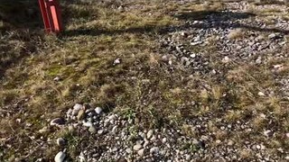 Freight train vs high speed intercity