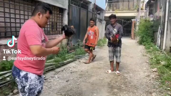 Tubaon 1x winner