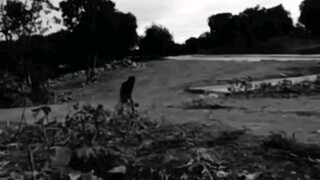 THE DEAD (FULL MOVIE)
