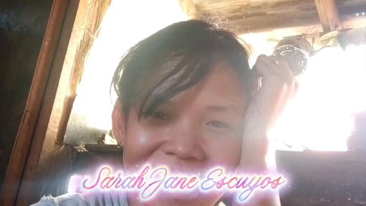 as high wh to a wtih now live