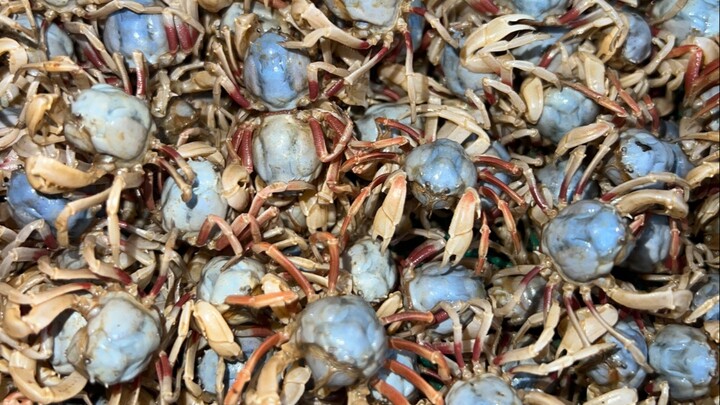Tahun ini untuk pertama kalinya saya pergi mencari kerang dan kepiting pasir, lalu membawanya ke des