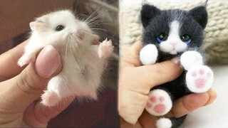 Cute baby animals Videos Compilation cute moment of the animals - Cutest Animals 27 สัตว์น่ารัก