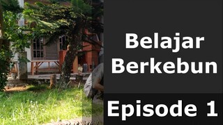 Kreativitas Anak: Belajar Berkebun dan Bermain untuk Ilmu Pengetahuan Episode 1