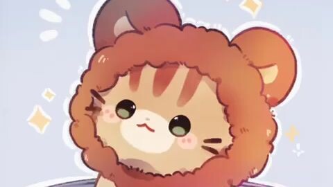 re-upload this beautiful cat