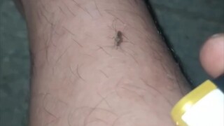 破绽，稍纵即逝