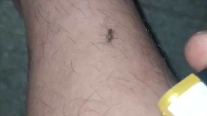 破绽，稍纵即逝