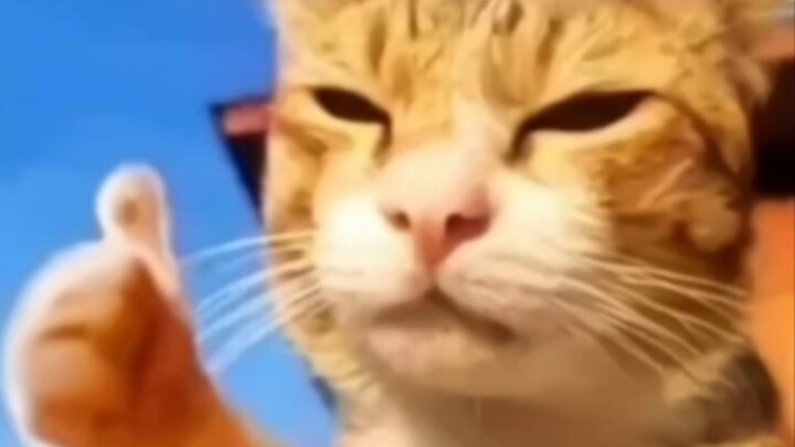 Hmm~