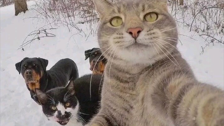 Miaomiao: I've made a lot of new friends.