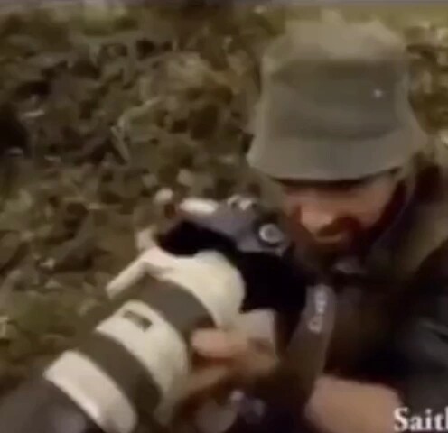 Lion: There should be a sense of ritual before mealtime!