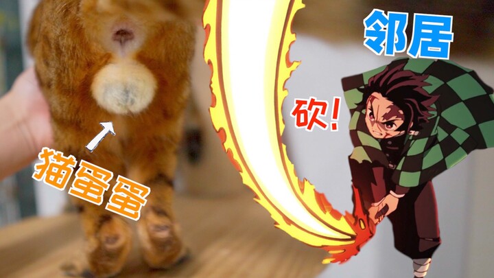 My neighbor was furious and tried to cut off my cat's testicles with a large knife. The reason was..