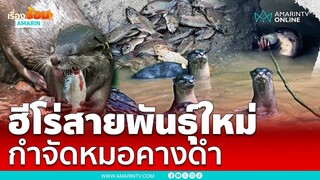 ความหวังหมู่บ้าน ตัวนาก นักล่าปลาหมอคางดำ | เรื่องร้อนอมรินทร์