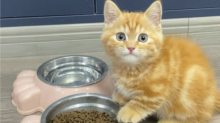 The tea’s brewed just right—next time, don’t brew it…