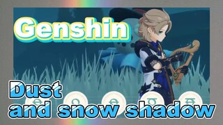 Dust and snow shadow