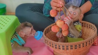 Wow So Smart!! Little Toto playing under chair & come quickly want to get Lychee fruit from Yaya