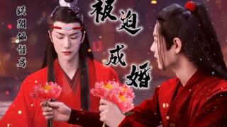 忘羡 误闯仙督房,被成婚番外4