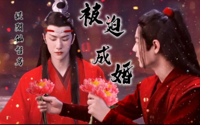 忘羡 误闯仙督房,被成婚番外4