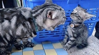 Ibu, cintai aku sekali lagi