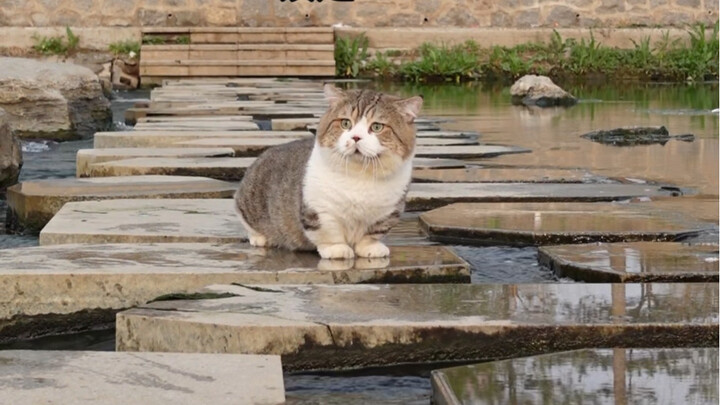 If you walk near water often, your feet will get wet.