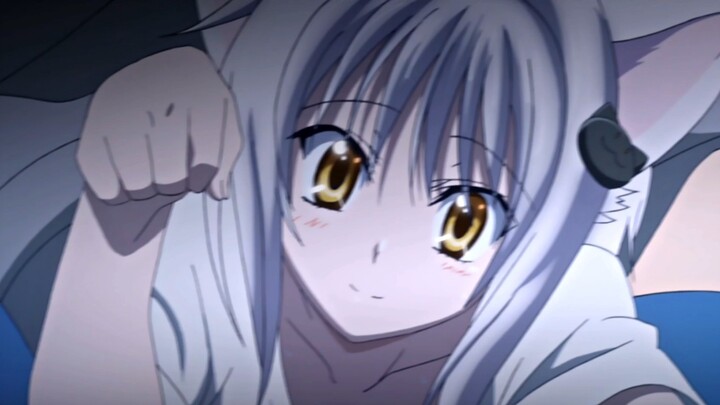 เขาไม่เพียงจับแมวขาวได้เท่านั้น แต่เขายังจับแมวดำน้องสาวได้ด้วย